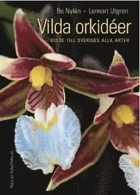 Vilda orkidéer